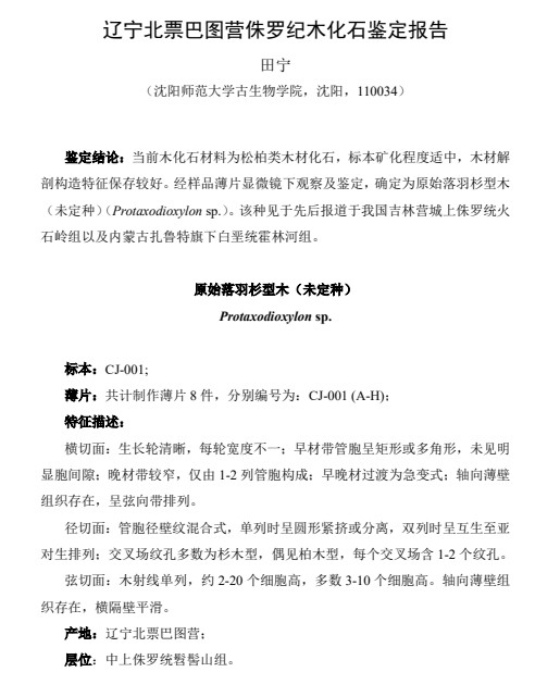 鉴定报告